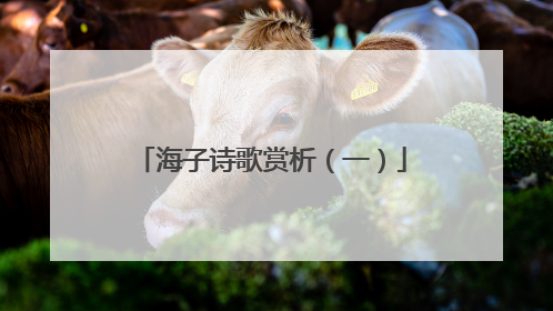 海子诗歌赏析（一）