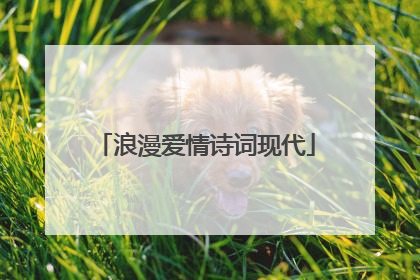 浪漫爱情诗词现代