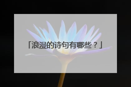 浪漫的诗句有哪些？