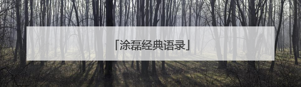 涂磊经典语录