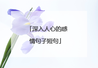深入人心的感情句子短句