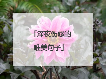 深夜伤感的唯美句子