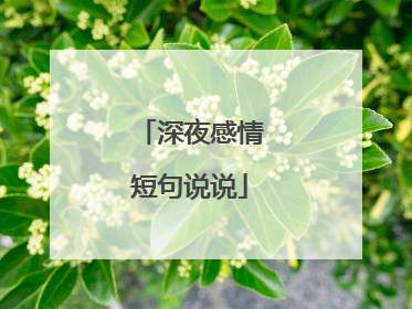 深夜感情短句说说