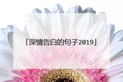 深情告白的句子2019