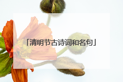 清明节古诗词和名句