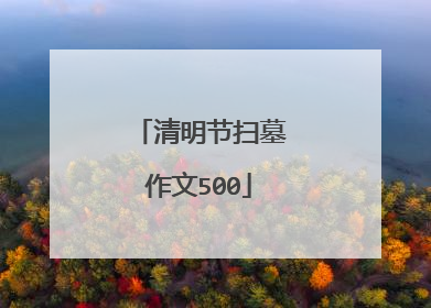 清明节扫墓作文500