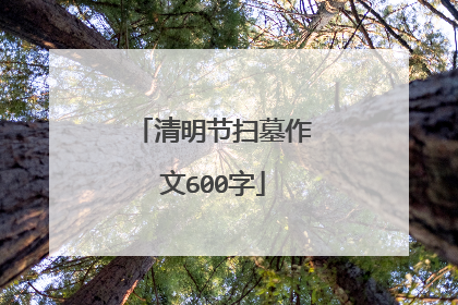 清明节扫墓作文600字