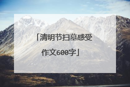 清明节扫墓感受作文600字