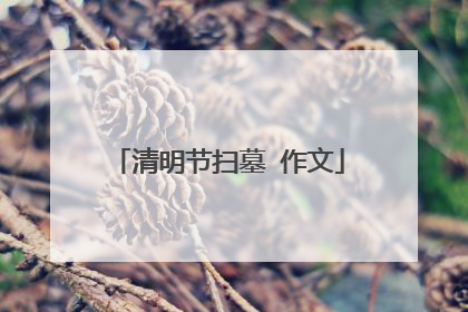 清明节扫墓 作文