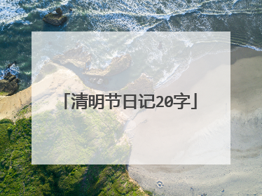 清明节日记20字