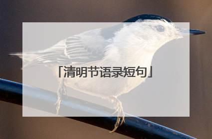 清明节语录短句