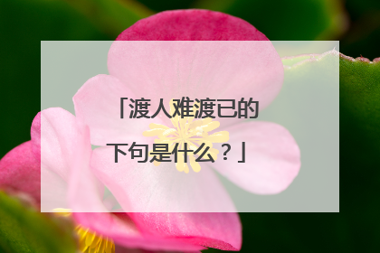 渡人难渡已的下句是什么？