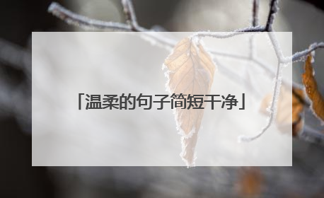 温柔的句子简短干净