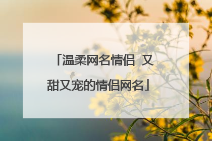 温柔网名情侣 又甜又宠的情侣网名