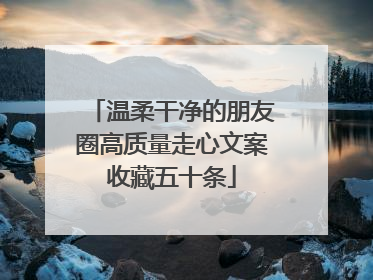 温柔干净的朋友圈高质量走心文案收藏五十条