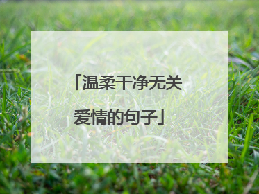 温柔干净无关爱情的句子