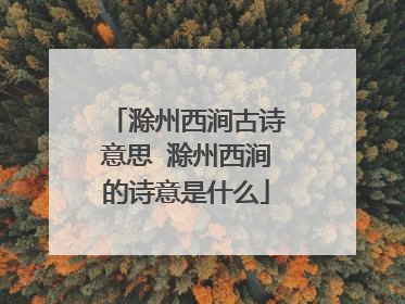 滁州西涧古诗意思 滁州西涧的诗意是什么