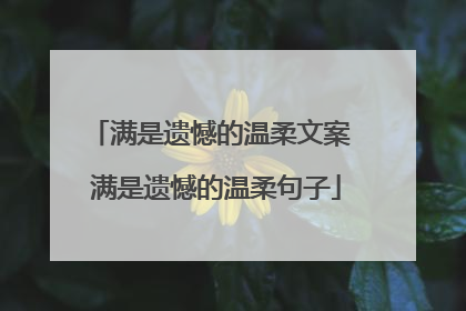 满是遗憾的温柔文案 满是遗憾的温柔句子