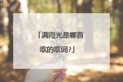 满霞光是哪首歌的歌词?