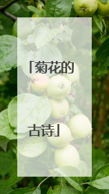 菊花的古诗
