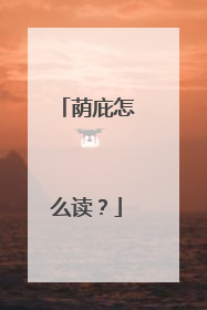 荫庇怎么读？