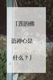 莲的佛语禅心是什么？