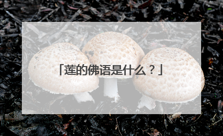 莲的佛语是什么？