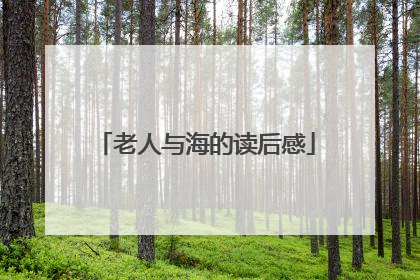老人与海的读后感