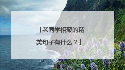 老同学相聚的精美句子有什么？