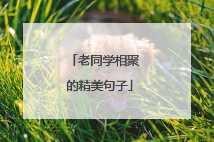 老同学相聚的精美句子