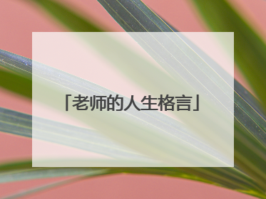 老师的人生格言