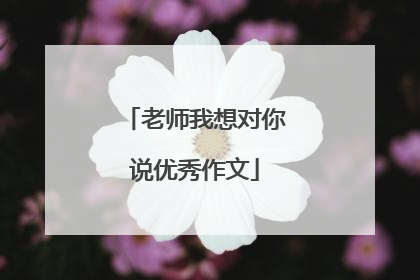 老师我想对你说优秀作文