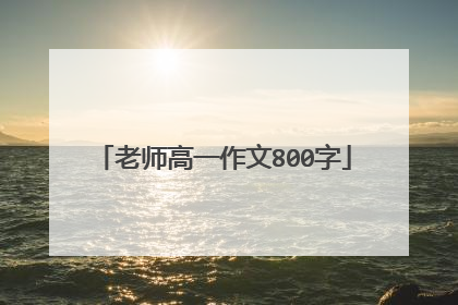 老师高一作文800字