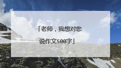 老师，我想对您说作文500字