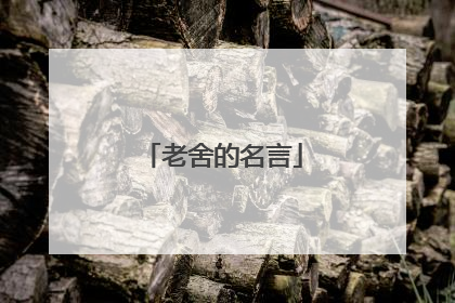 老舍的名言