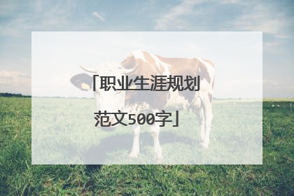 职业生涯规划范文500字