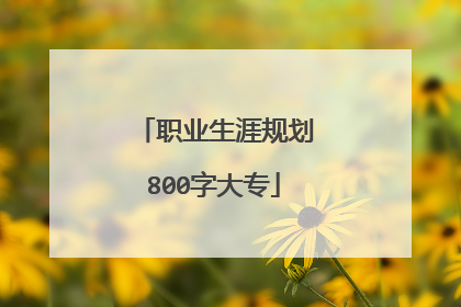 职业生涯规划800字大专