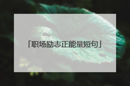 职场励志正能量短句