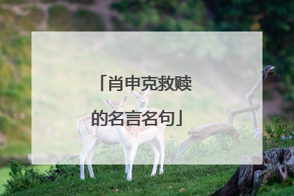 肖申克救赎的名言名句