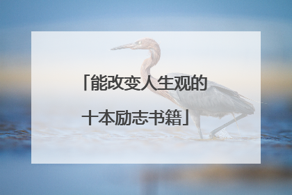 能改变人生观的十本励志书籍