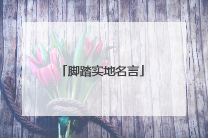 脚踏实地名言
