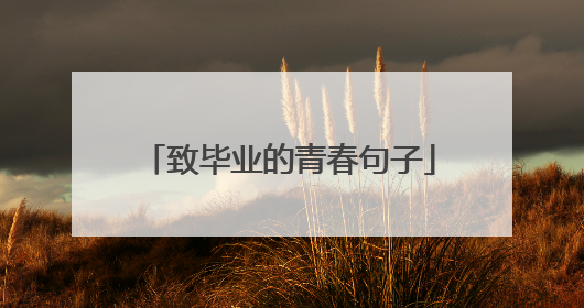 致毕业的青春句子