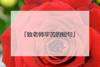 致老师辛苦的短句