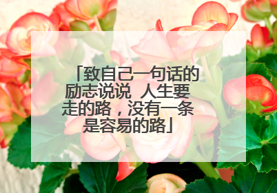 致自己一句话的励志说说 人生要走的路,没有一条是容易的路