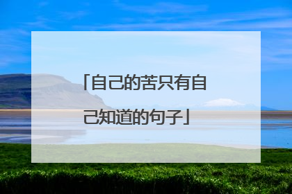 自己的苦只有自己知道的句子