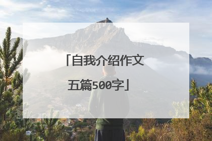 自我介绍作文五篇500字