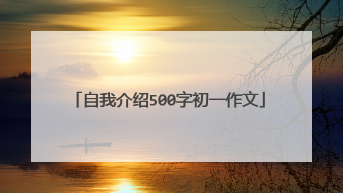 自我介绍500字初一作文