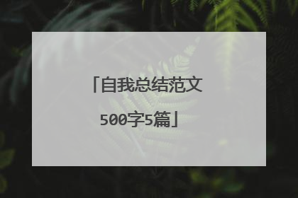 自我总结范文500字5篇