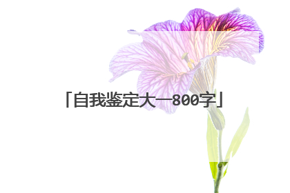 自我鉴定大一800字