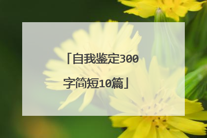 自我鉴定300字简短10篇